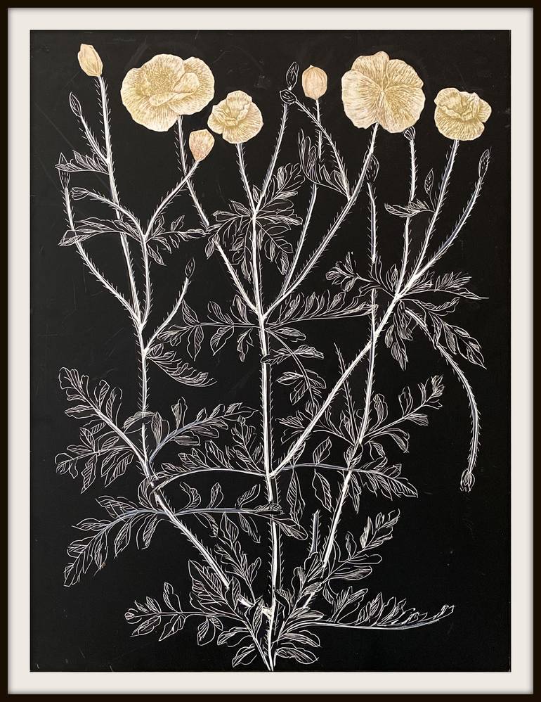 Original Botanic Drawing by karen clark