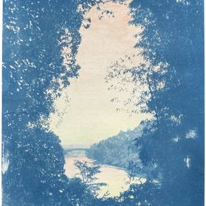 Collection Into the Woods