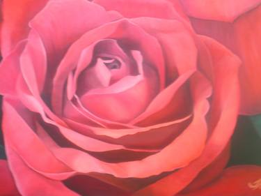 Original Realism Floral Paintings by Tracey Hall