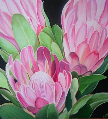 Original Botanic Paintings by Tracey Hall