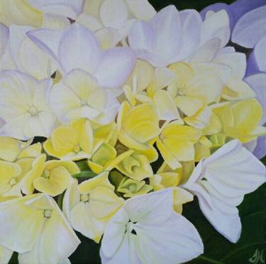 Original Fine Art Floral Paintings by Tracey Hall