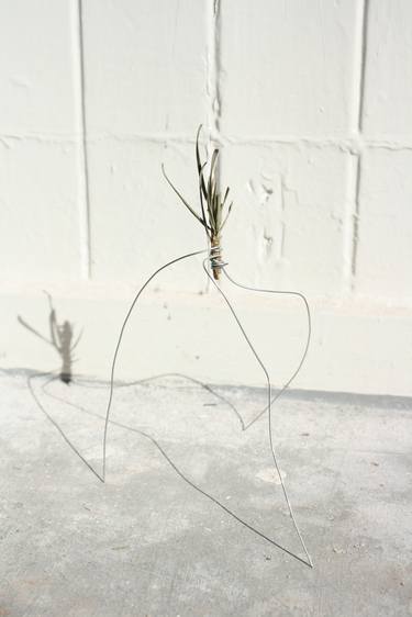 Original Dada Nature Sculpture by Hannah B Pedersen