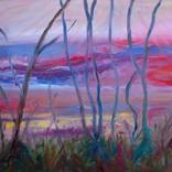 Paradise of the Tigre Delta by Ana Cabrera Grohs