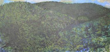 Original Landscape Paintings by takako ishii