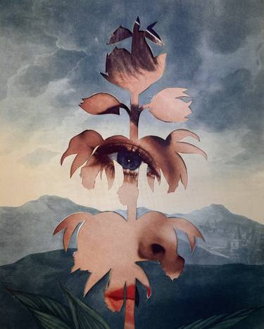 Original Dada Botanic Collage by Riikka Fransila