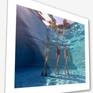 "Sister Legs" framed in white aluminium