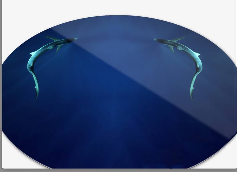 Original Minimalism Nature Photography by Maya Almeida