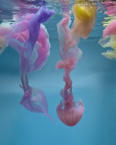 Original Contemporary Seascape Photography by Carla Sutera Sardo