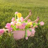 Spring! by Carla Sutera Sardo
