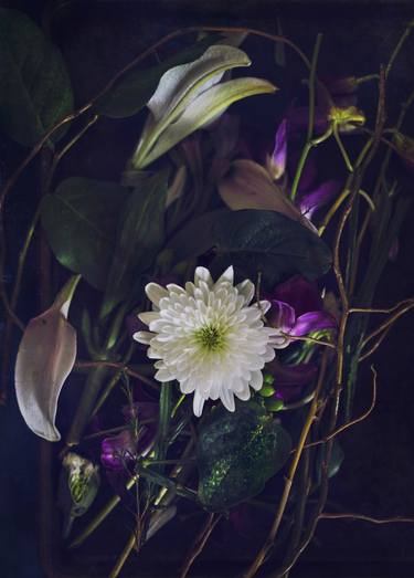 Original Fine Art Botanic Photography by Christie Stockstill