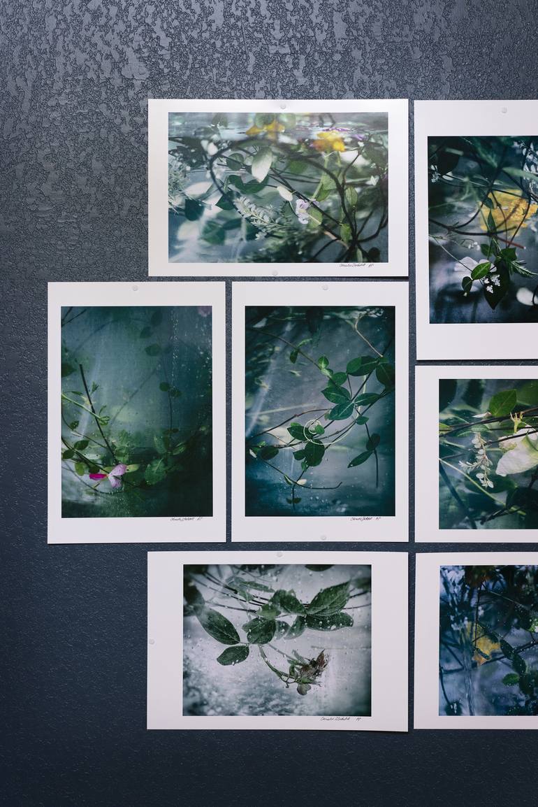 Original Botanic Photography by Christie Stockstill