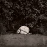 Seedling (20x20) - Limited Edition of 10 by Christie Stockstill