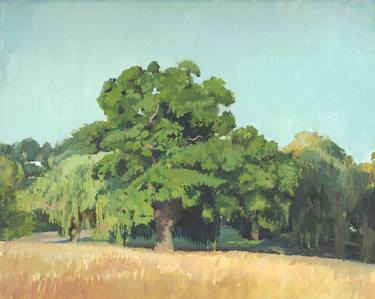 Oak Tree, Hampstead Heath thumb