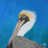 Pelican on Blue by Anthony Fotia