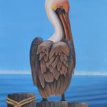 Brown Pelican II by Anthony Fotia