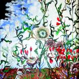 Ditchflowers by Michael H Taylor