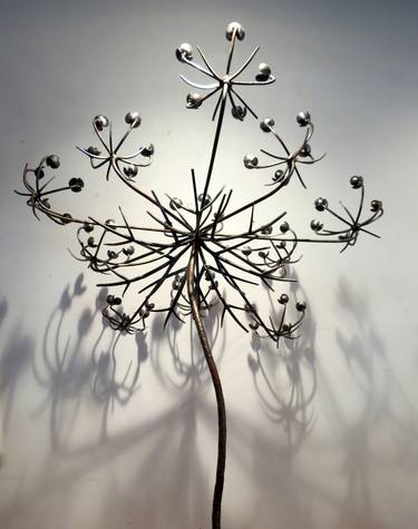 Queen Anne's Lace thumb