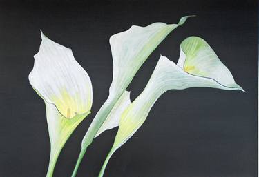 Print of Realism Floral Paintings by Bruce Burt