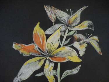 Print of Botanic Paintings by Bruce Burt