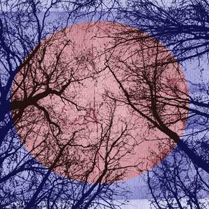 Collection LANDSCAPES