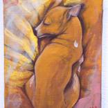 ItalianGreyhound #02 by Tomomi Maruyama
