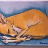 ItalianGreyhound #03 by Tomomi Maruyama