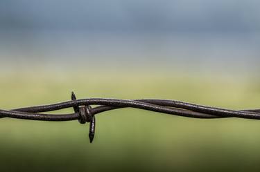 Original Minimalism Landscape Photography by Matthew Blum