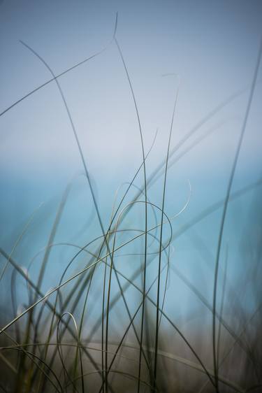 warm wind cool waters thumb