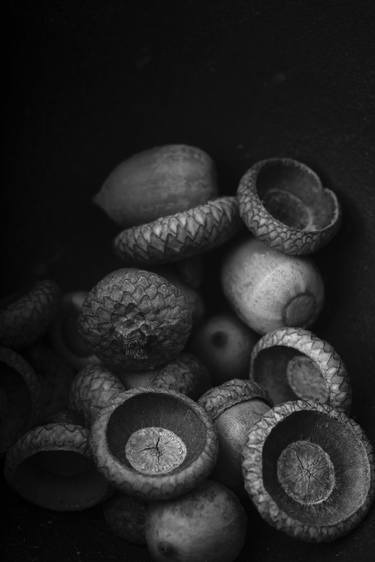 Original Fine Art Still Life Photography by Edward Fielding