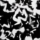 Collection Talking to Ghosts 2012 / 2013  (Body Photogram of Live Performance)