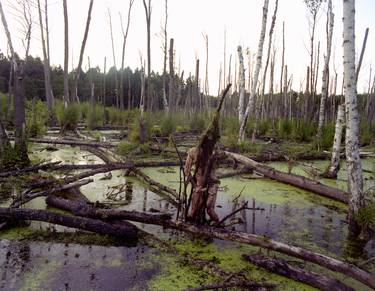 Self as Swamp Creature (from series: The Great Masquerade) thumb