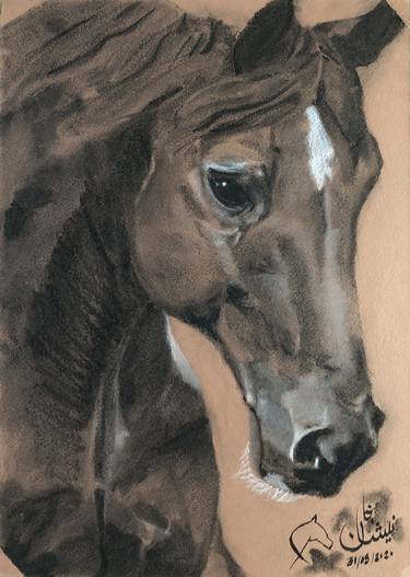 Portrait of a Horse Head thumb