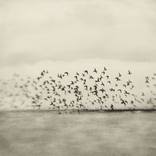 Collection Inspired by Zen