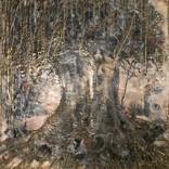 Collection Encaustic, Mixed Media