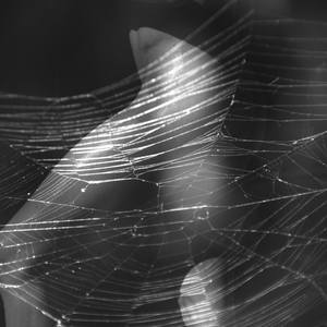 Collection Digital Art & Video