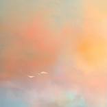 Collection Pantone Color of the Year: Peach Fuzz