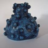 Knobbly Blue by Sophie Gardiner