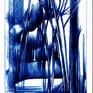 Swamp Forest
