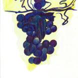 Collection Plants curated at SAATCHI ART