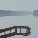 Jetty 21 November 09:57 by Robert Motelski