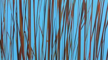 Reeds 11 February 16:03 thumb