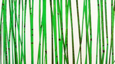 Reeds 18 August 12:13 thumb