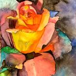 Rainbow Rose by Kimberly Eaton