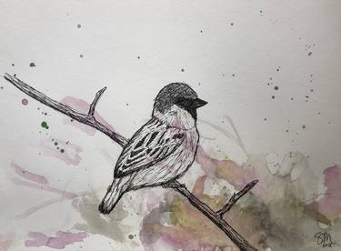 Winter Sparrow thumb