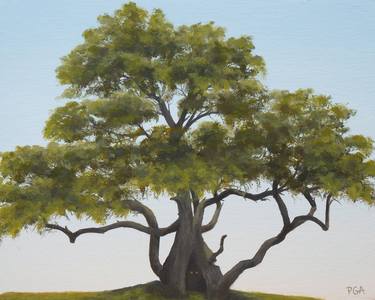 Print of Realism Tree Paintings by Phyllis Andrews