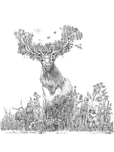 Print of Animal Drawings by Anamari Hrup