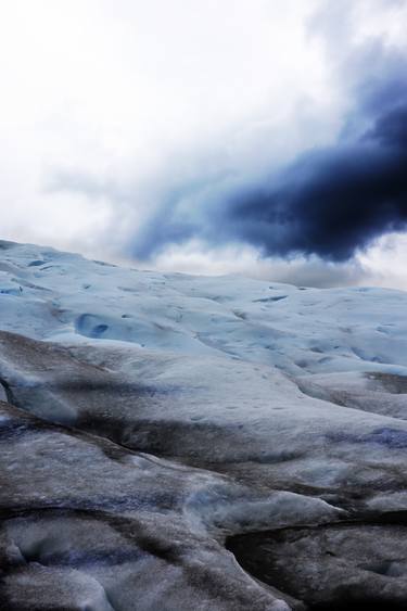 Original Abstract Expressionism Nature Photography by Ava Leigh Stewart