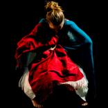 The Art of Vanishing Inwards by Nikki Willson