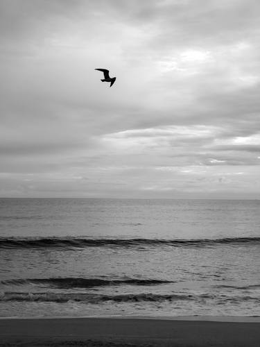 Print of Fine Art Seascape Photography by Scott DubhGhaill