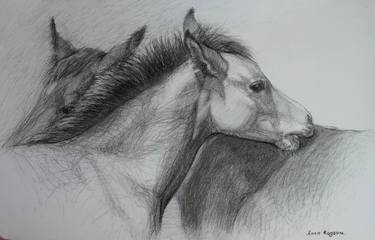 Original Figurative Horse Drawings by Anna Ro